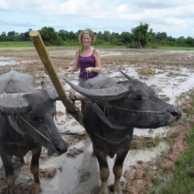 Projects Abroad Community volunteer walking two yaks through a muddy pathway during her Khmer cultural experience in Cambodia. A Culture and Community volunteer walking yaks during a Khmer Project in Cambodia.